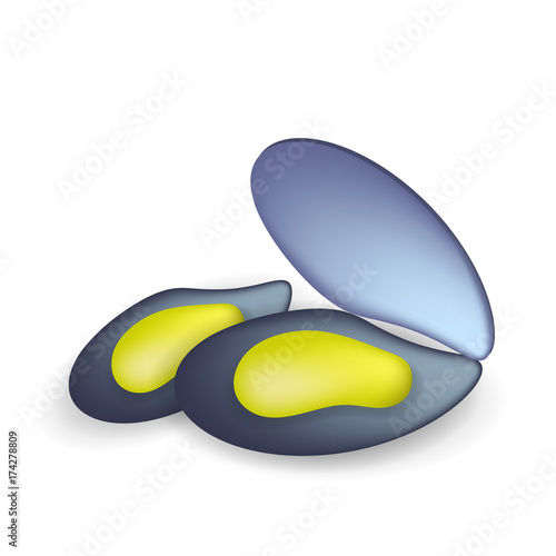 Two Sea Mussels