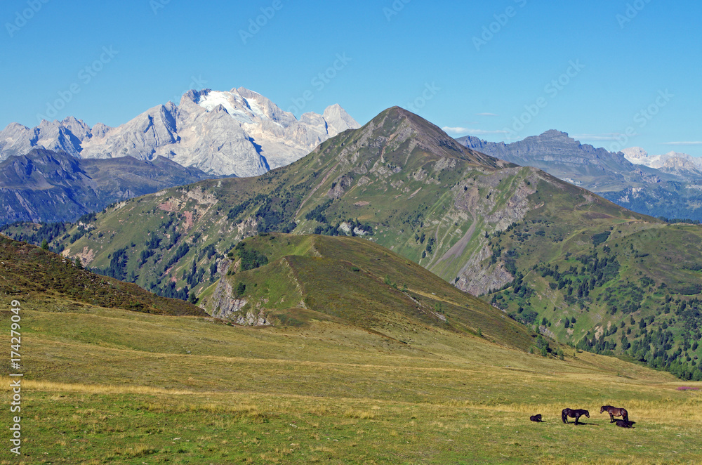 Paysage de montagne avec glacier dans les Dolomites en Italie