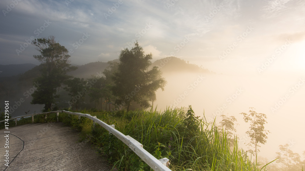 custom made wallpaper toronto digitalThe small road on the mountain. In the morning and the fog with cool air from the mountains.