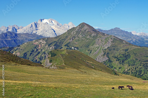 Paysage de montagne avec glacier dans les Dolomites en Italie