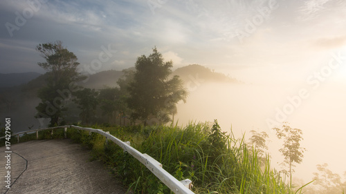 Wallpaper Mural The small road on the mountain. In the morning and the fog with cool air from the mountains. Torontodigital.ca