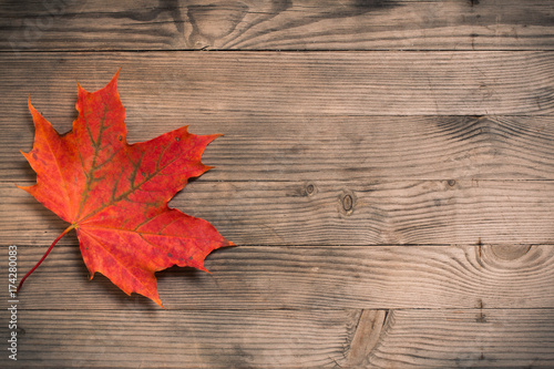 Wooden autumn background with red maple leaf. Toned photo. Place for text.