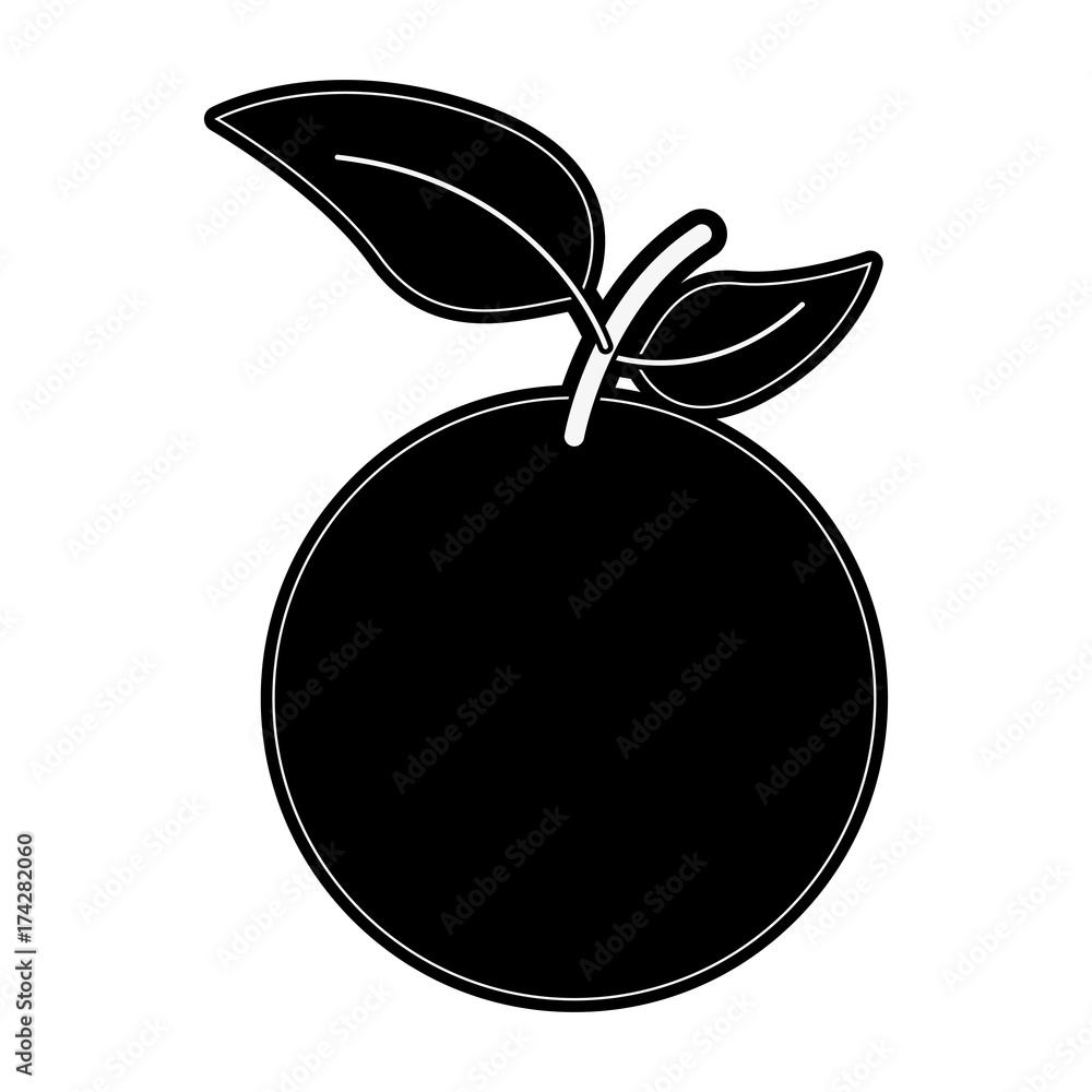 Orange citric fruit icon vector illustration graphic design Orange citric fruit icon vector illustration graphic design