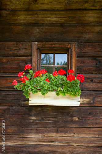Fototapeta Naklejka Na Ścianę i Meble -  old window and flowers