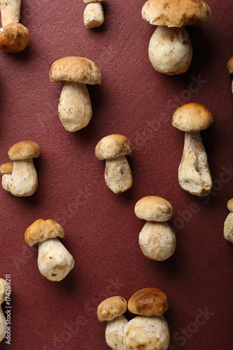 Forest Mushrooms art background