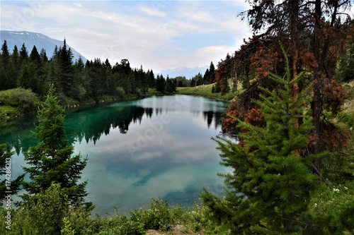 Fototapeta Naklejka Na Ścianę i Meble -  reflections in a mountain lake