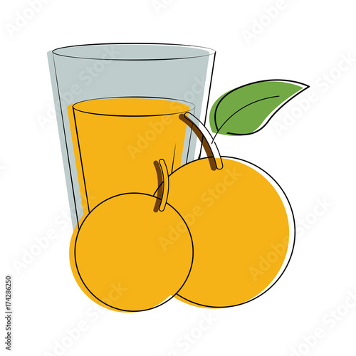 orange juice carton glass fruit image vector illustration design 