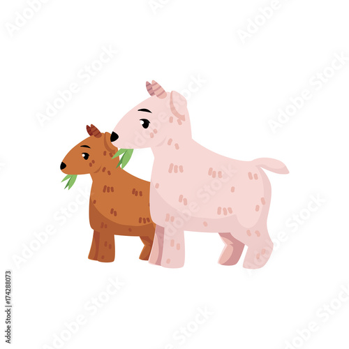 vector flat cartoon countryside farm rural animals scene. White goats with goatling grazing green grass. Isolated illustration on a white background.