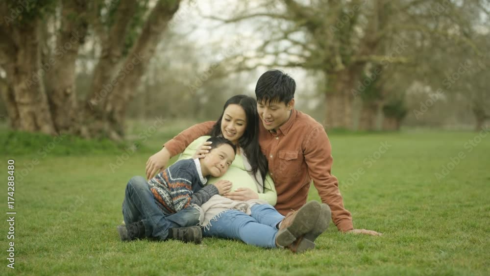 Happy family relaxing in the park parents expecting baby with cute little boy Happy family relaxing in the park parents expecting baby with cute little boy
