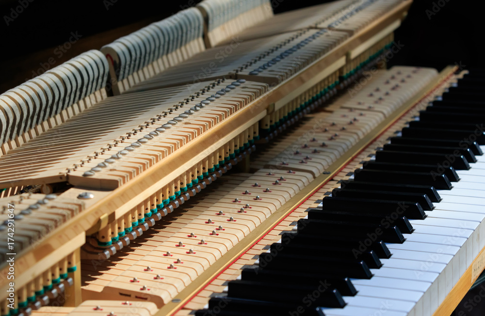 Il pianoforte smontato in riparazione Il pianoforte smontato in riparazione