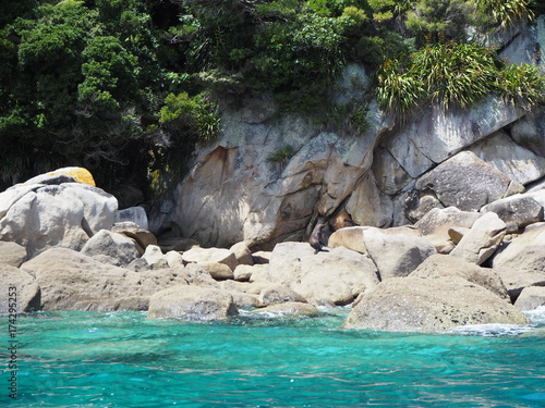 Foto Türkis blaue Stand Bucht im Abel Tasman Nationalpark mit Robbe auf Felsen , Neus