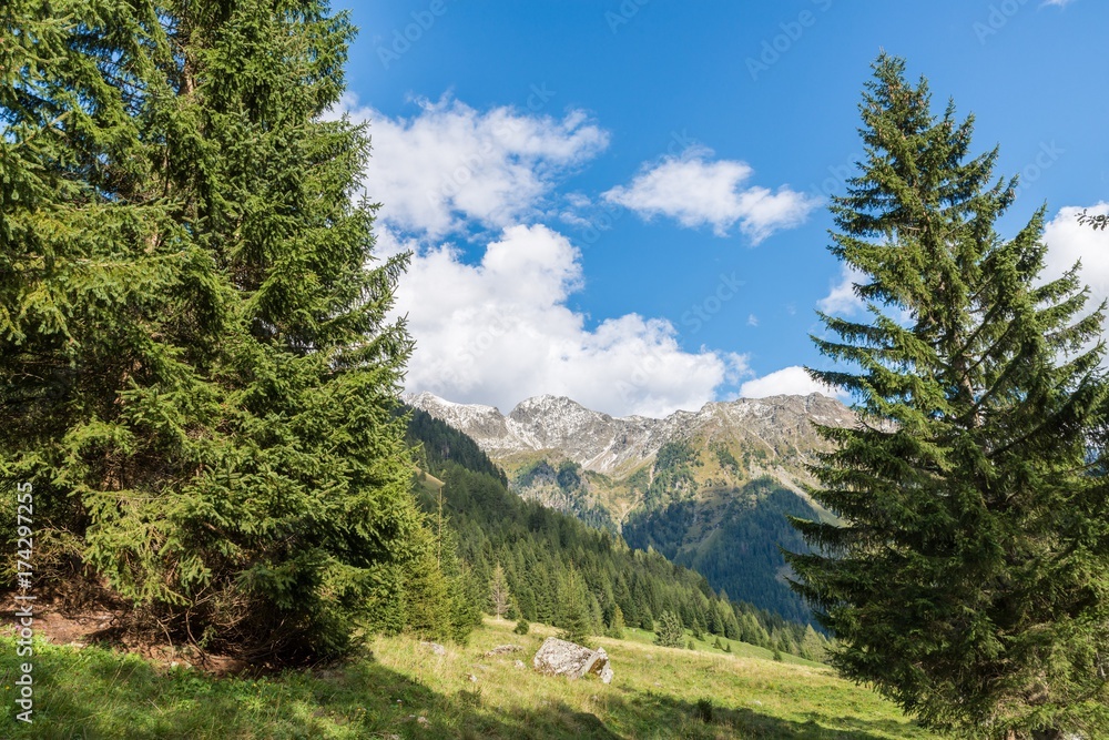 Weißpriachtal im Lungau mit Blick auf die Berge, Österreich Weißpriachtal im Lungau mit Blick auf die Berge, Österreich