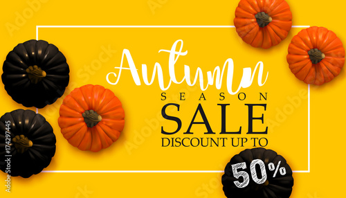 Design banner Autumn sale. Fall poster design with realistic black and natural pumpkins. Vector illustration EPS10. Flat lay, top view. Vector Illustration