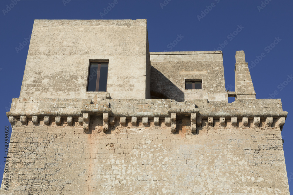 Fototapeta premium Particolare del castello