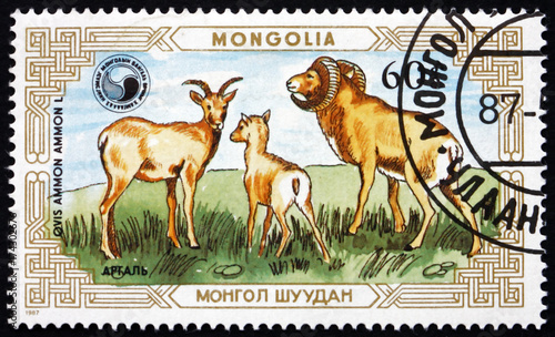 Postage stamp Mongolia 1987 Mountain Sheep