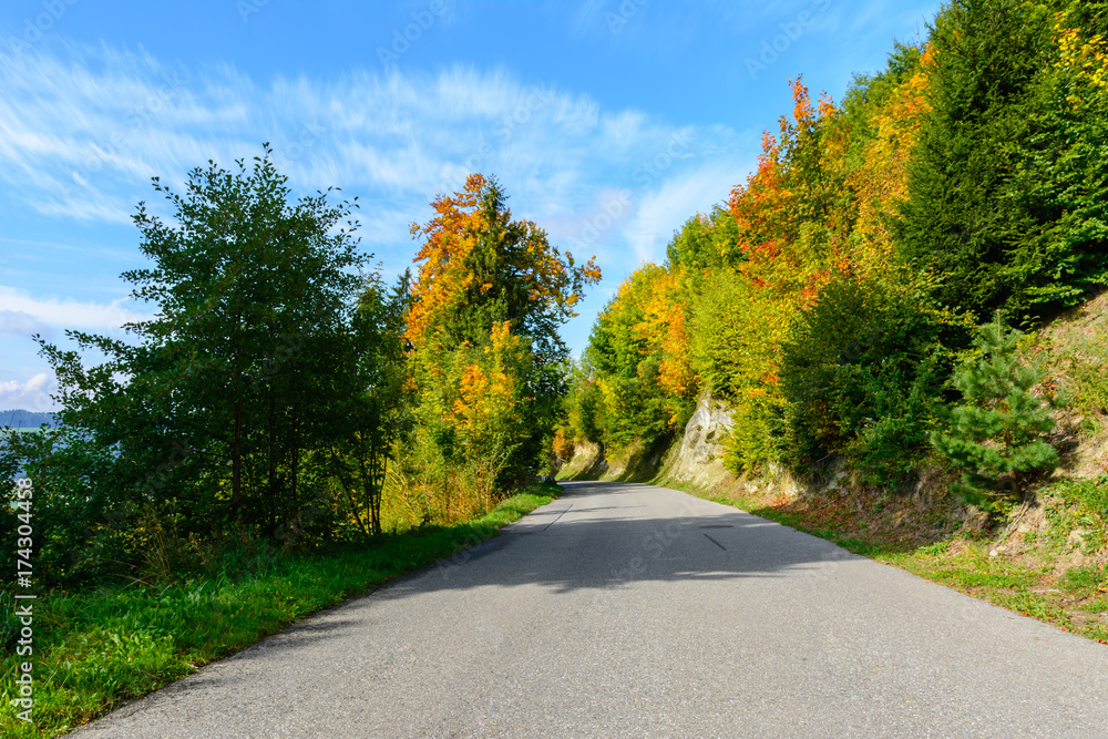 Strasse im Herbst durch farbigen Wald Strasse im Herbst durch farbigen Wald