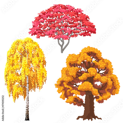 Autumn Trees Set