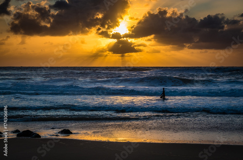 sunset over waves and lone surfer, Hossegor, France photo