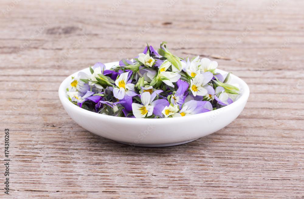 small, violet heartsease / Bowl of flowers from field pansy small, violet heartsease / Bowl of flowers from field pansy