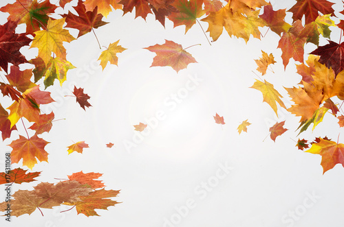 autumn red and orange leaves with heart fall wooden background