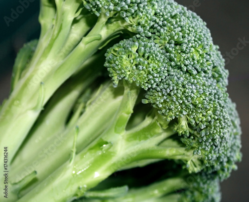 Fresh Organic Broccoli - a healthy and nutritious food
