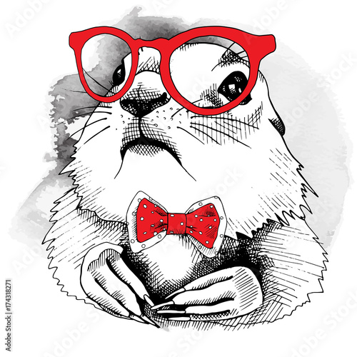 Portrait of a gopher in red glasses and tie. Vector illustration. photo