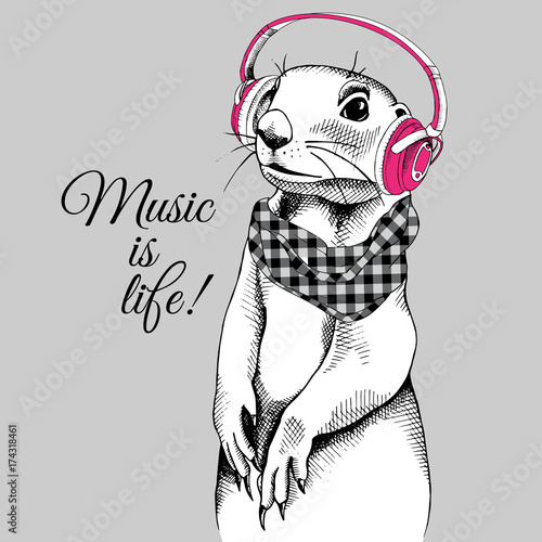 Portrait of a gopher wearing checkered cravat in pink headphones. Vector illustration.