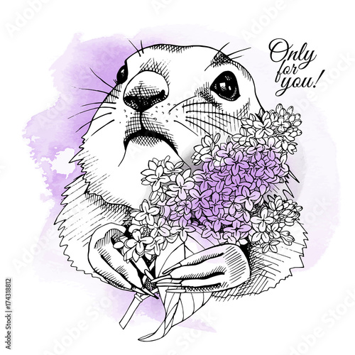 Prairie Dog Portrait with bright flowers Lilac on a violet background. Vector illustration.