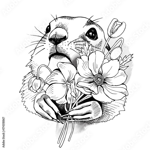 Prairie Dog Portrait with flowers narcissus. Vector black and white illustration.