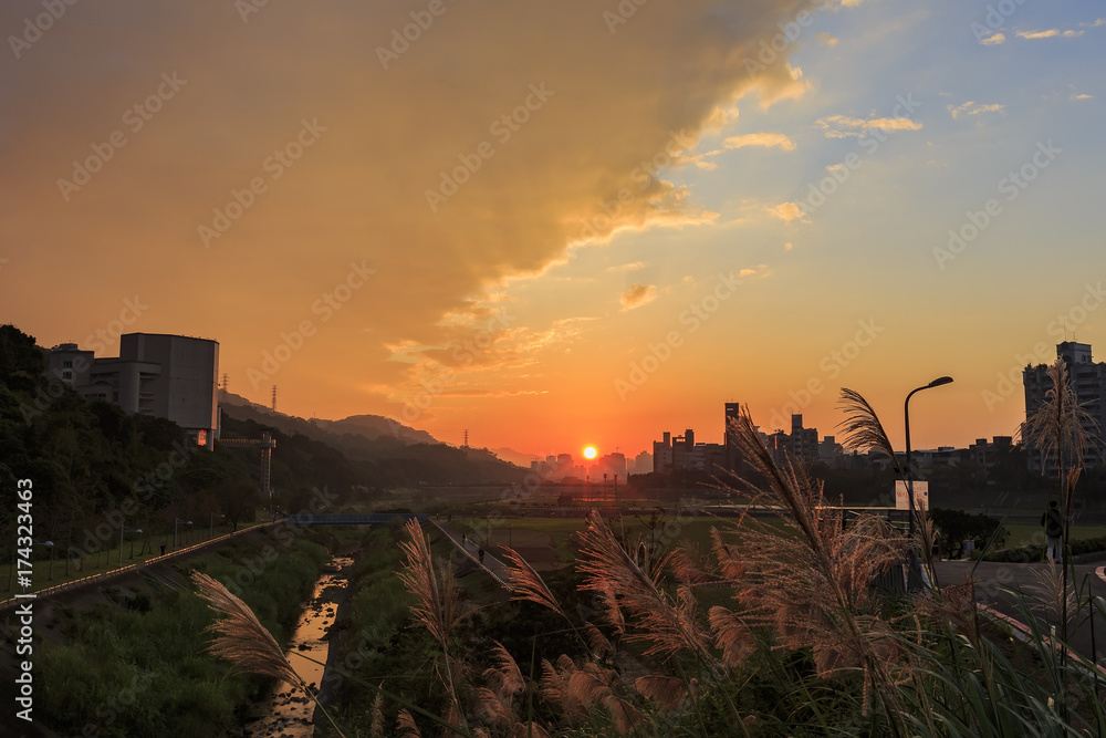 Sunset clouds, silvergrass at National Chengchi University