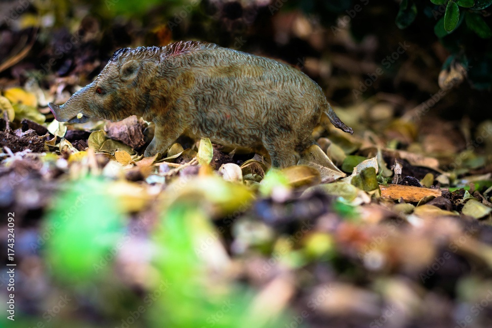 Obraz premium Wildschwein, Eber, Figur