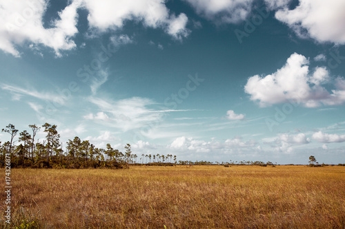 Beautiful landscape of a nature with clouds at Everglades National Park in USA. Popular place for tourists