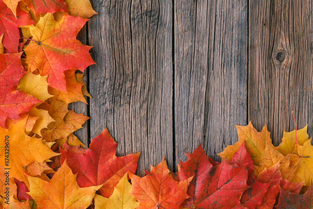 Fall background with maple leaves on wood table Fall background with maple leaves on wood table