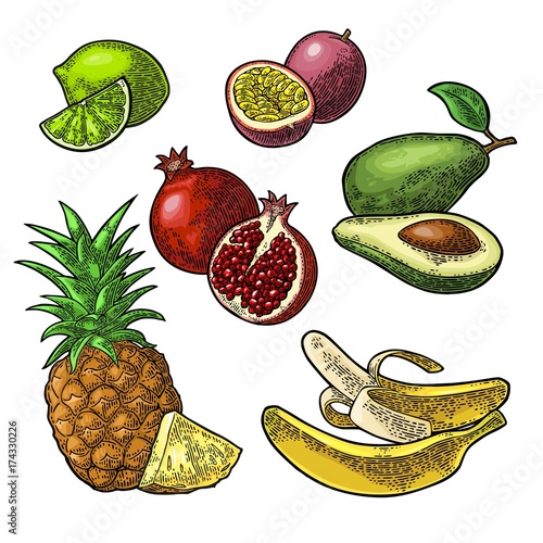 Set tropical fruits. Pineapple, lime, banana, pomegranate, maracuya, avocado.