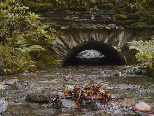 Fall orange dry leafs in a stream  old stone bridge in the background.