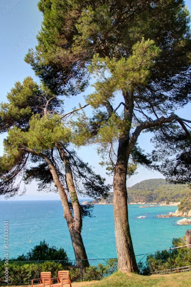 Jardin méditereranéen au bord de la mer