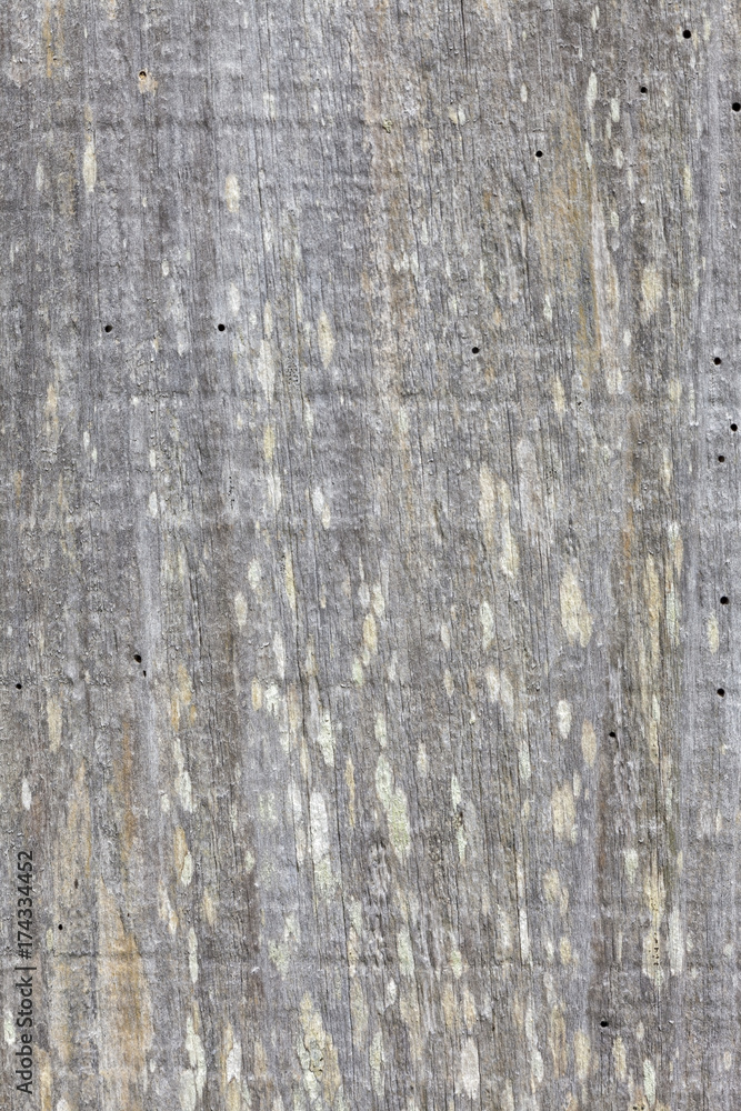 Fototapeta premium Old wood texture.