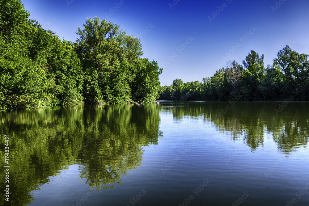 Beautiful landscape, trees reflection in the lake water under blue sky