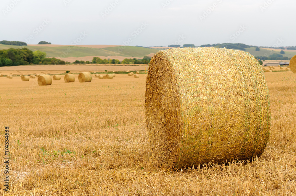 Large bales of hay in a field after harvesting