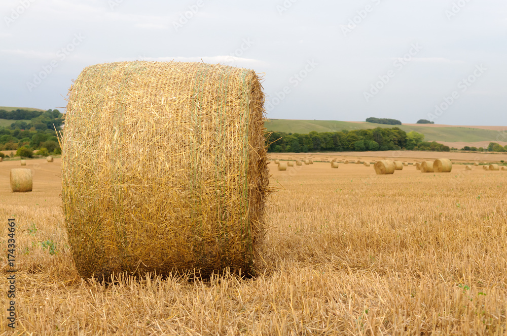 Large bales of hay in a field after harvesting