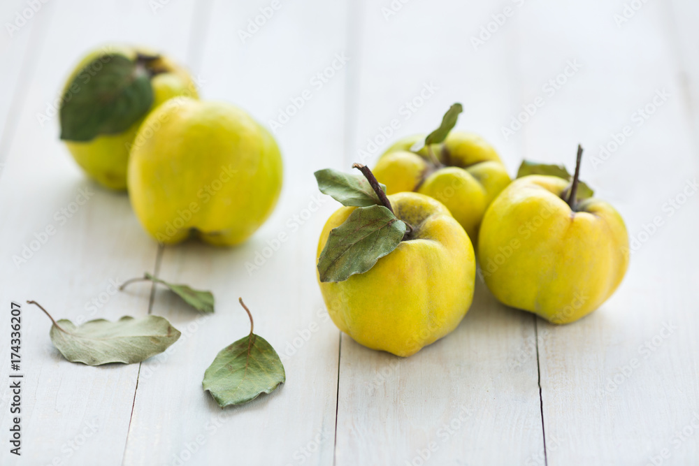 feeding, selling, fall concept. few bright fruits of quince tree lying on the table painted with snowy white shining colour, they are surrounded by green leaves