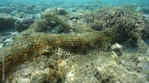 Old fishing net tangled on coral reef at Maratua Island, Kalimantan  photo