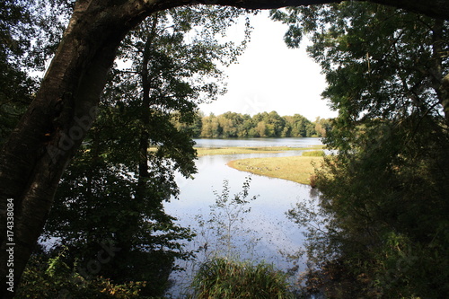 Sevenoaks nature reserve, lake and forest 7 