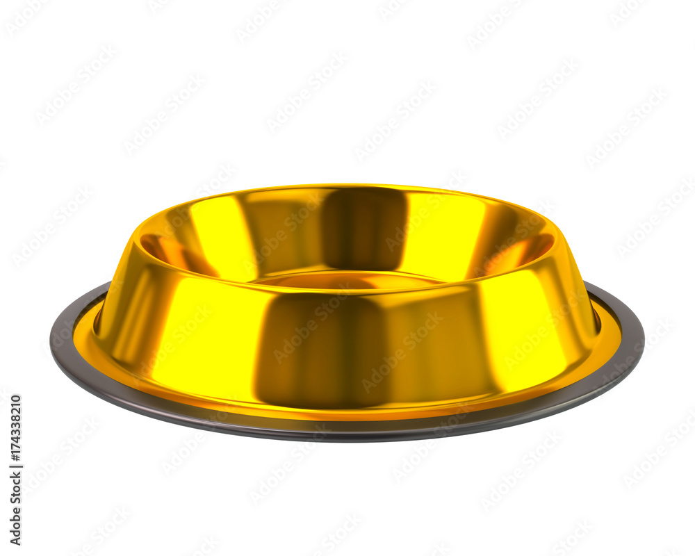 Golden pet bowl Golden pet bowl