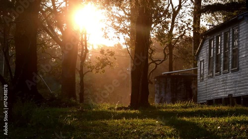 Sun setting through trees on quiet rural property after storm