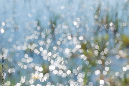 Blurred Bright Background of Water with Grass and Sun Light and Nature