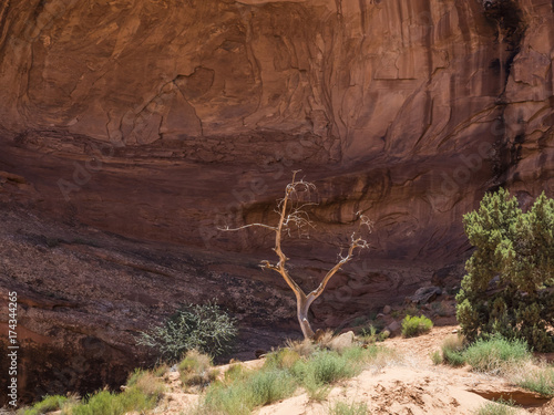 Monument Valley - Arizona, AZ, USA photo