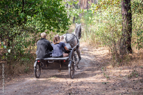 Foto Beautiful dappled-grey horse harnessed by sulky cart with three riders going fas