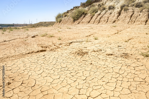landscape of a dry land on a summer day