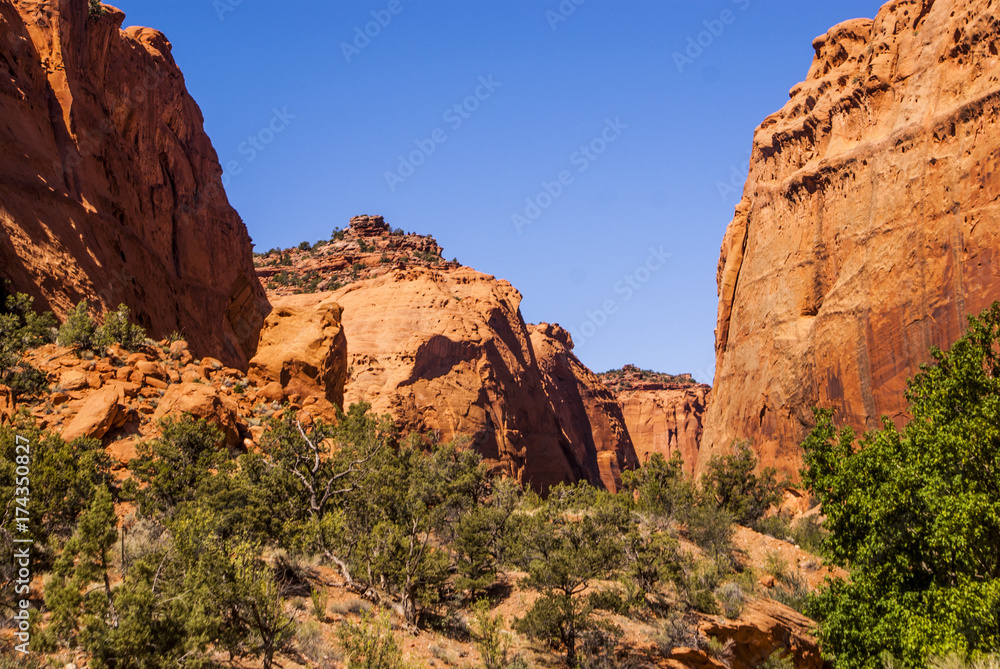 Cliffs of Capital Reef National Park